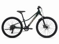 MY24Talon24Disc_ColorATrekkingGreen.jpg