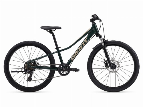 MY24Talon24Disc_ColorATrekkingGreen.jpg