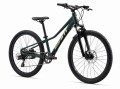 MY24Talon24Disc_ColorATrekkingGreen_Front.jpg