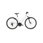 Rower KROSS EVADO 1.0 DM bia/tur połysk