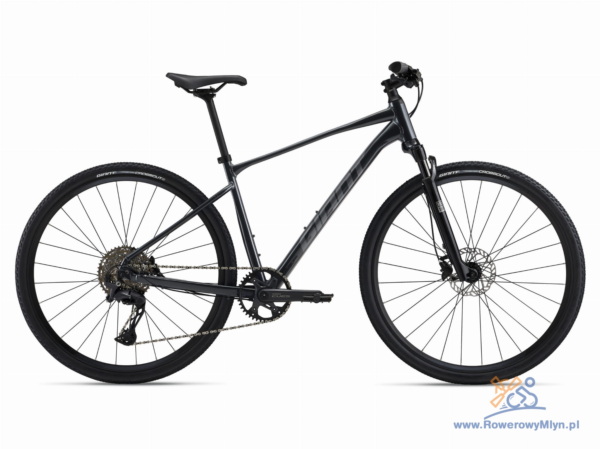 Rower GIANT ROAM 1 M Charcoal - Rowerowy Młyn